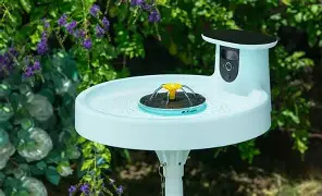 The Ultimate Showdown: Birdfy Bird Bath Pro vs Gopro Lit Hero for 2026
